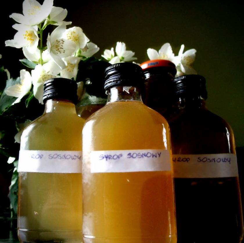 syrop-sosnowy